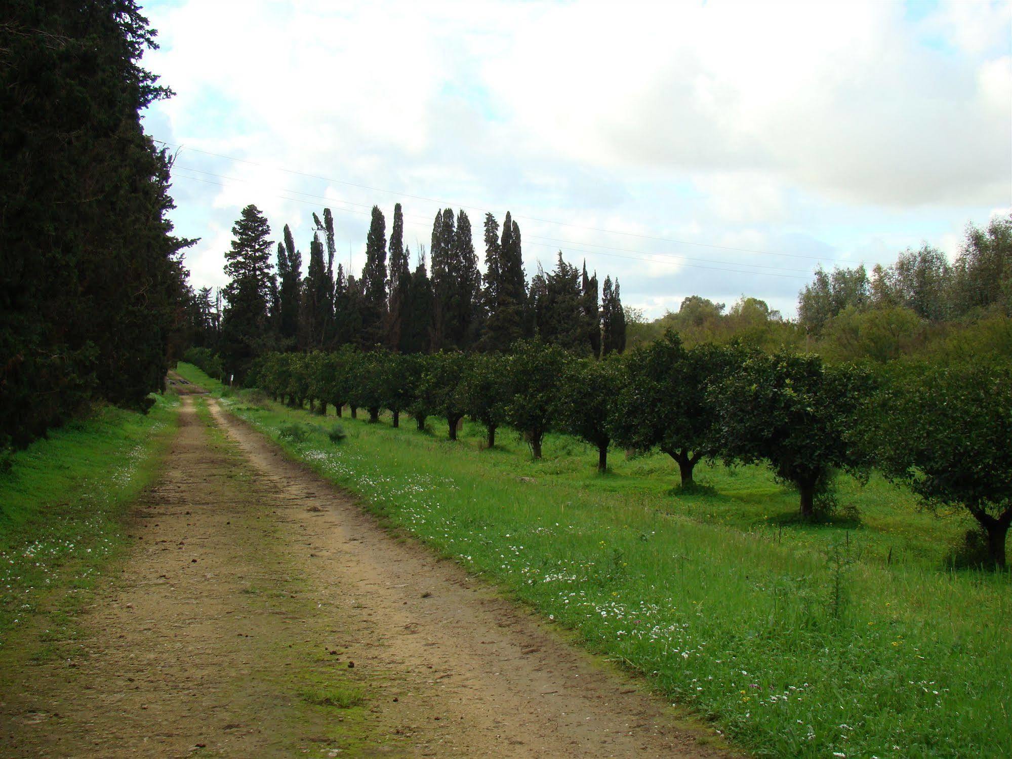 Hotel Di Latomie Castelvetrano